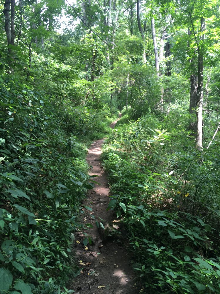 Authentic Offerings - grief counselor in Asheville, NC