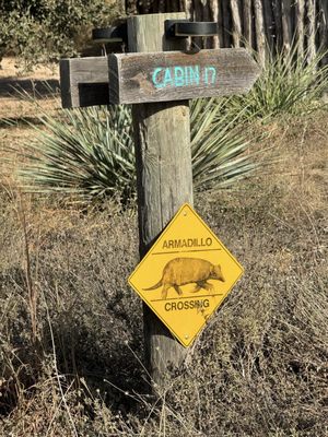 Lucky Arrow Retreat - Glamping Capital of Texas, USA ® Event Venue by null