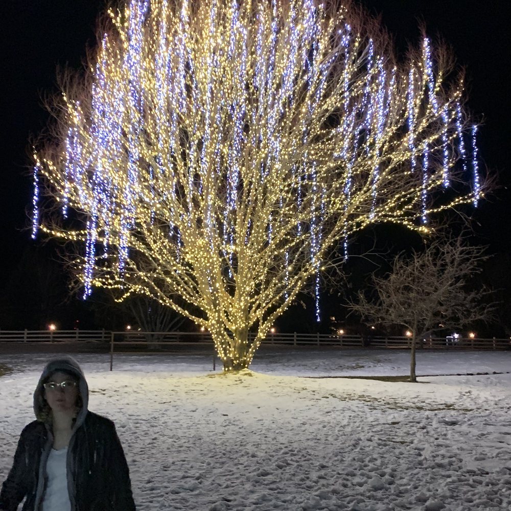 Homestead - Tree at entrance - Hotels Near Me - Midway, Utah Homestead - Tree at entrance - Hotels Near Me - Midway, Utah