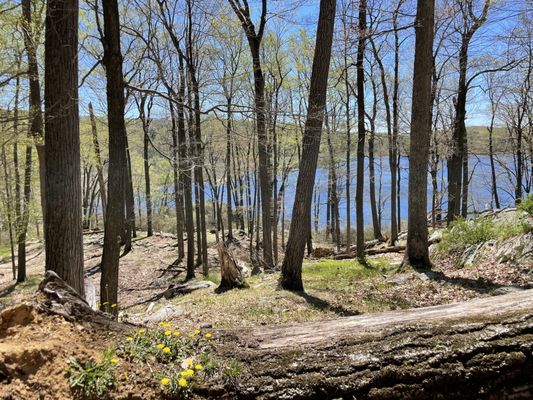 Harriman State Park by null