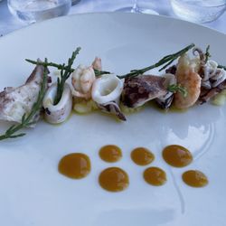 Gallo