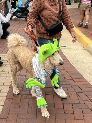 Village at Leesburg by null