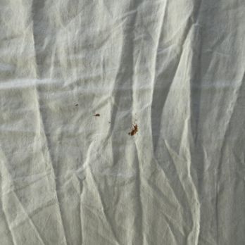Ocean Place Resort & Spa - old blood stains on underside of duvet cover - Day Spas Near Me - Long Branch, New Jersey Ocean Place Resort & Spa - old blood stains on underside of duvet cover - Day Spas Near Me - Long Branch, New Jersey