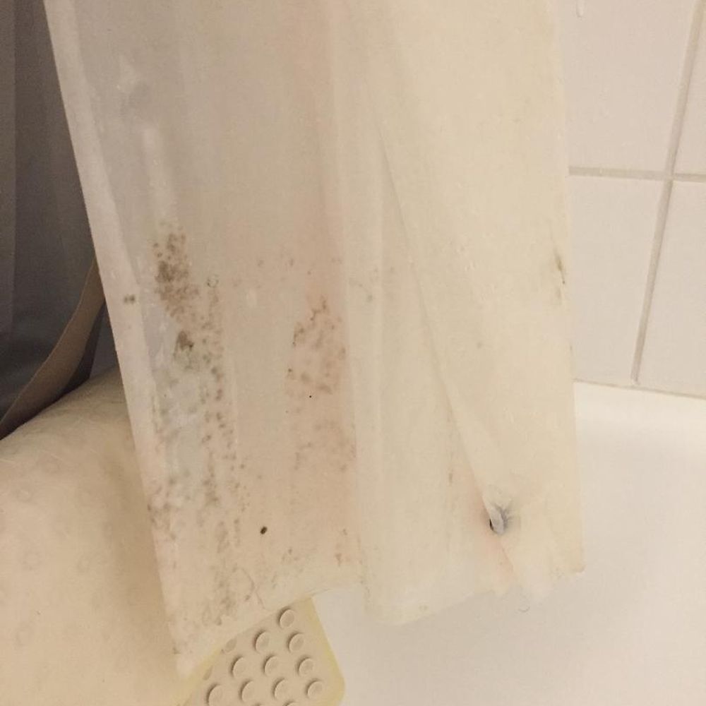 Hunter Arms Hotel - The shower curtain. - Hotels Near Me - Saint Cloud, Florida