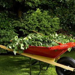 Yeager Yards - Lawn Clipping Removal.