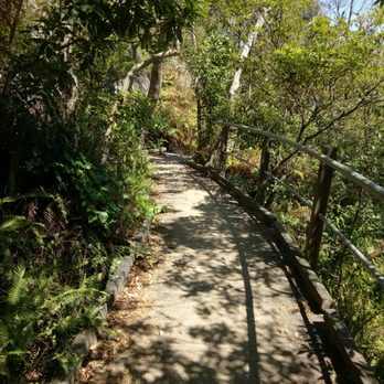 Washaway Beach - Spit to Manly Costal Walk - Beaches Near Me - Clontarf, NSW