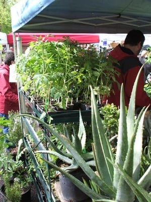 Portland Farmers Market at PSU by null