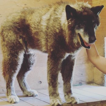 Howling Woods Farm - Animal Shelters Near Me - Jackson, New Jersey