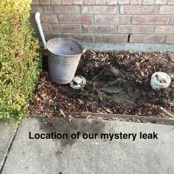 True Plumbing - Location of mystery leak, right at or under our foundation - Plumbing Near Me - Fort Worth, Texas True Plumbing - Location of mystery leak, right at or under our foundation - Plumbing Near Me - Fort Worth, Texas