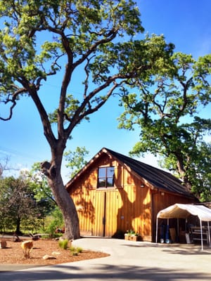 Savor Napa Valley Wine Tours by null