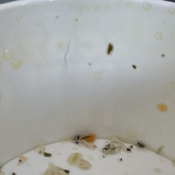 Panera Bread - Hair in Homestyle Chicken Noodle Soup bowl - Salad Near Me - Columbus, Ohio Panera Bread - Hair in Homestyle Chicken Noodle Soup bowl - Salad Near Me - Columbus, Ohio