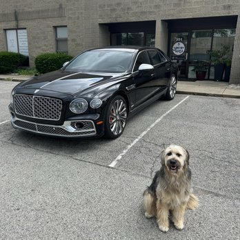 Sentry Glass - Maddox - our office "security" helped one of our great dealership partners with this Bentley Flying Spur. - Auto Glass Services Near Me - Carmel, Indiana Sentry Glass - Maddox - our office "security" helped one of our great dealership partners with this Bentley Flying Spur. - Auto Glass Services Near Me - Carmel, Indiana