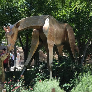 Denver Zoo - Zoos Near Me - Denver, Colorado Denver Zoo - Zoos Near Me - Denver, Colorado