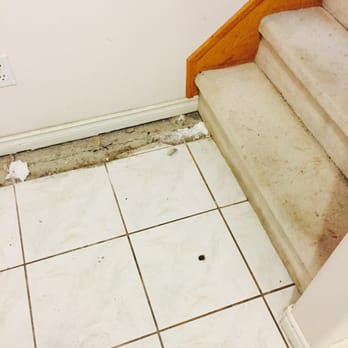 True Level Concrete - No gap within the stairs. No need to repair the stairs! - Foundation Repair Near Me - Surrey, British Columbia True Level Concrete - No gap within the stairs. No need to repair the stairs! - Foundation Repair Near Me - Surrey, British Columbia