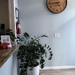 Energy Massage Spa