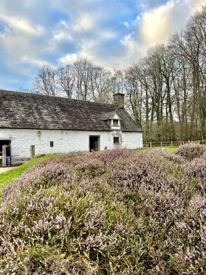 St. Fagans National Museum of History by null