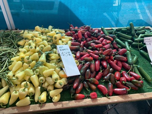 Galleria @ Tyler Farmers Market by null