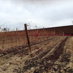 Bodegas Portia