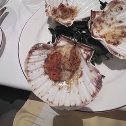 Scallops Scallops