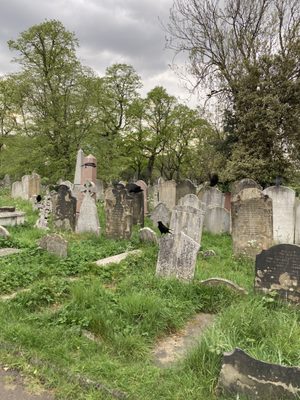 Brompton Cemetery by null