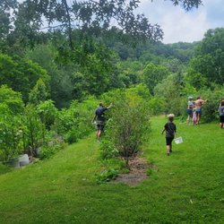 Heritage Hollar Farmstead - Blueberry patch