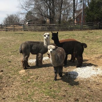 Kinder Farm Park - Playgrounds Near Me - Millersville, Maryland