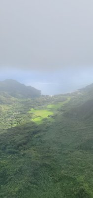 Blue Hawaiian Helicopters by null