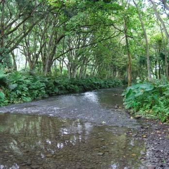 Waipi'o Valley - Beaches Near Me