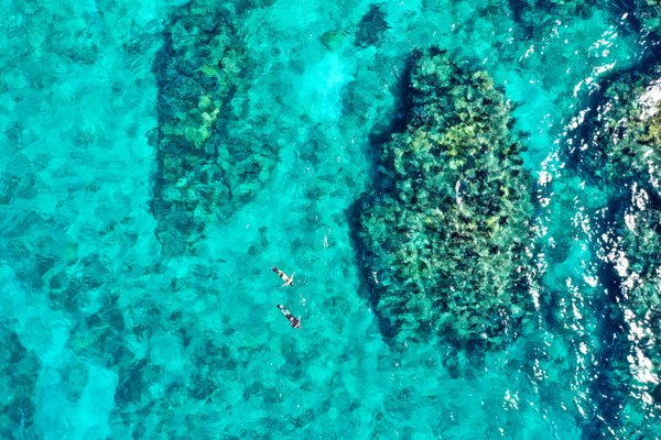 Sunset Watersports Key West by null