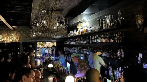 Hoot & Annie by null