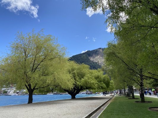 Queenstown Gardens by null