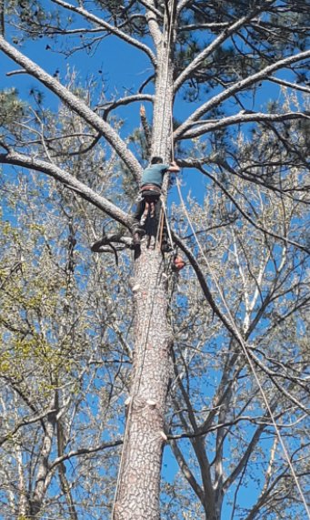 Slide of Godfrey Tree Removal & Roofing