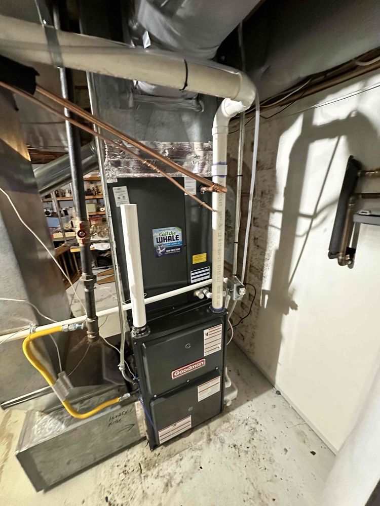 Slide of Call The Whale