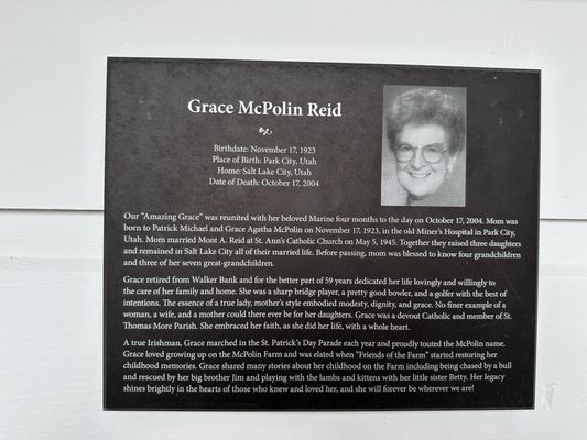 McPolin Barn by null