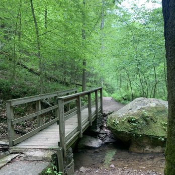 Hoosier National Forest - Parks Near Me - Bedford, Indiana Hoosier National Forest - Parks Near Me - Bedford, Indiana