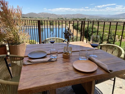 Envero en el Valle by null