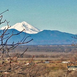 Lake California - View from one of Lake California's many ridgetop firebreaks looking North over Cottonwood at Mt Shasta.