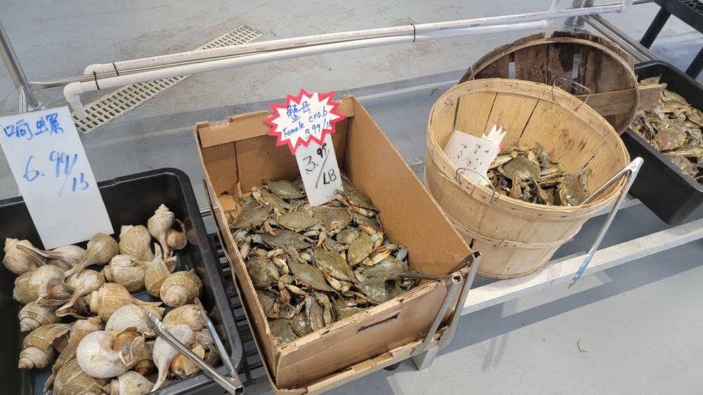 FISHERMAN’S SEAFOOD MARKET CLOSED Updated July 2024 17 Photos