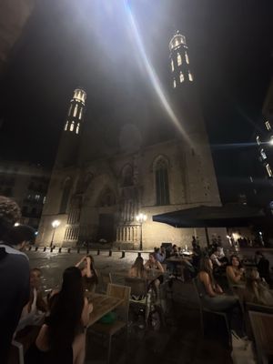 La Vinya del Senyor by null