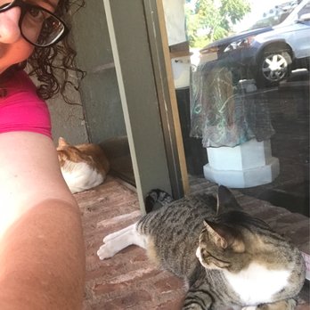 Twice Nice - Taz and Oliver in the background - Thrift Stores Near Me - Sedona, Arizona