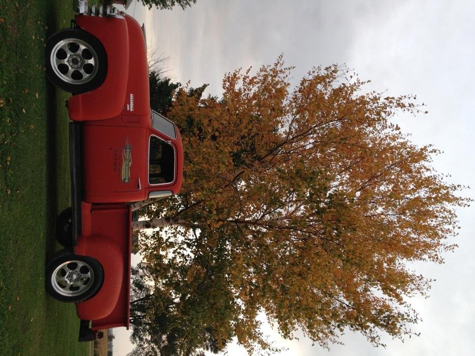 BRONSON LINE AUTOMOTIVE Updated September 2024 Zurich, Ontario