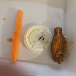 Wings for scale Wings for scale