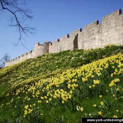 The City Walls