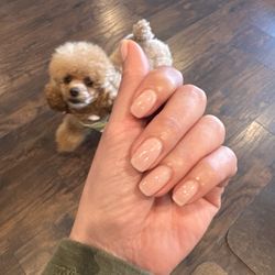 On the Nail - Manicure