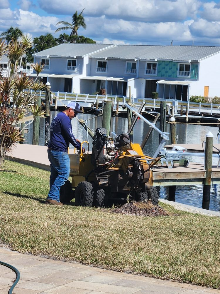 Slide of CHDO by Sunrise City