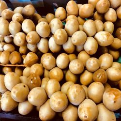 Julio's Fruit Boutique - Fresh Dates