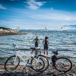 Viking Biking