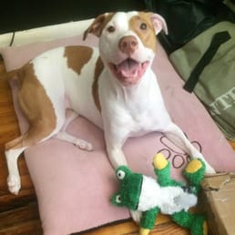 Lola says hi everyone I love you!!