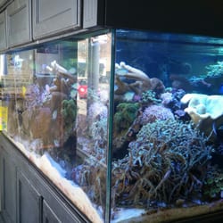Life Aquatic - She's alive!! all of it...