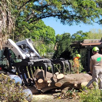 Ergonomic Tree Care - Machine - Tree Services Near Me Ergonomic Tree Care - Machine - Tree Services Near Me